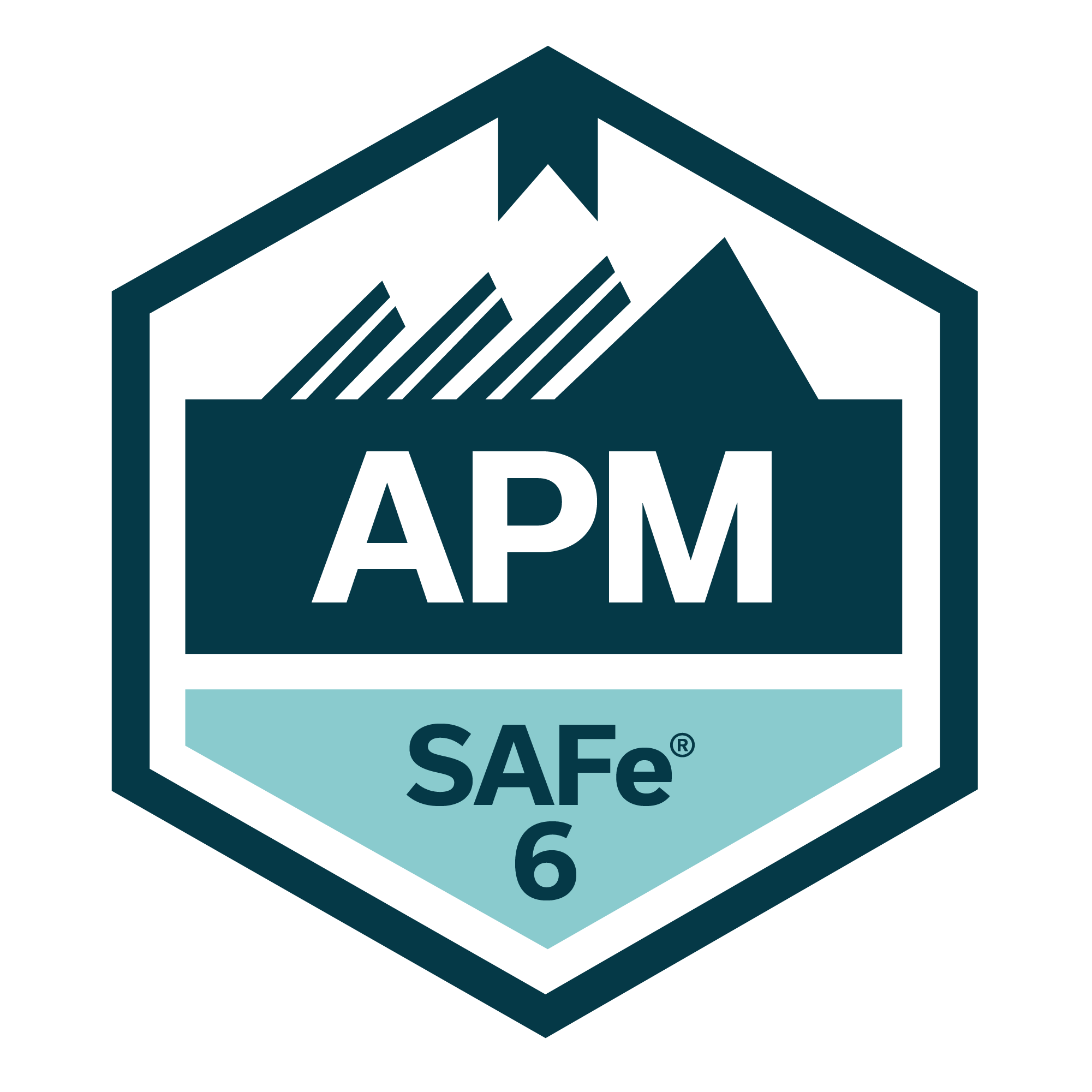 safe_apm